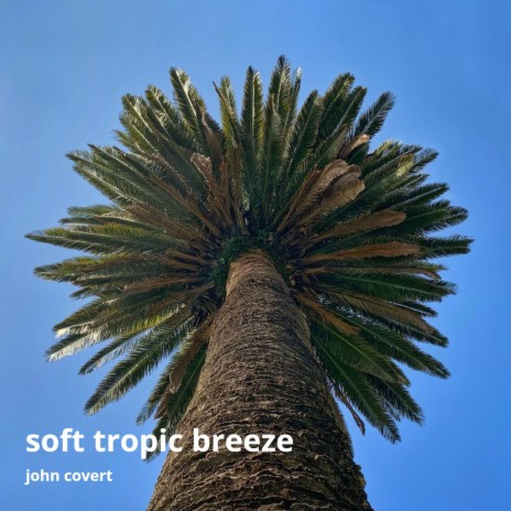 Soft Tropic Breeze | Boomplay Music