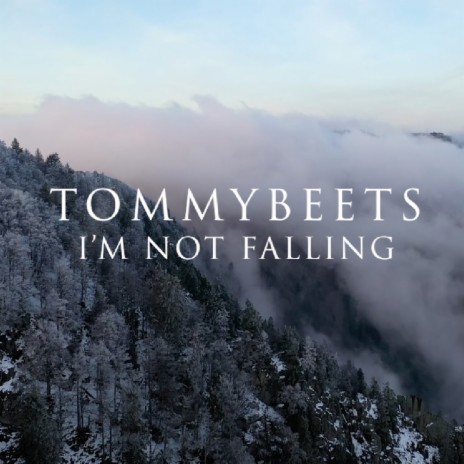 I'm Not Falling | Boomplay Music