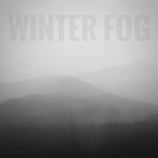 Winter Fog