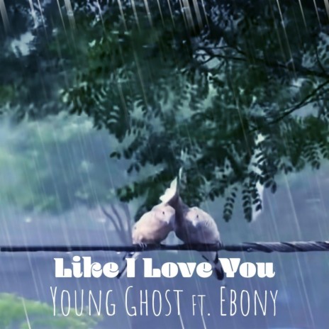 Like I Love You (feat. Ebony) | Boomplay Music