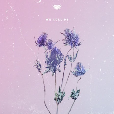 We Collide | Boomplay Music