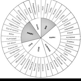 wheel of emotions