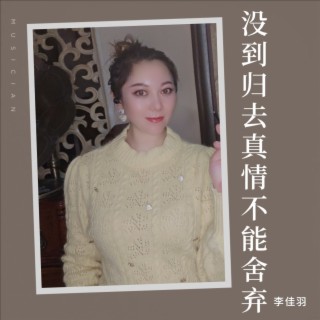 没到归去真情不能舍弃（DJ阿能版）