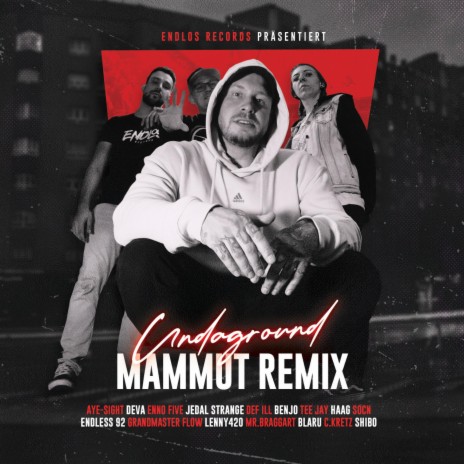 Undaground (Mammut Remix) ft. Blaru, Endlos Records, C.KRETZ, Mr. Braggart & Def ILL | Boomplay Music