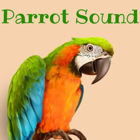 Parrot sound