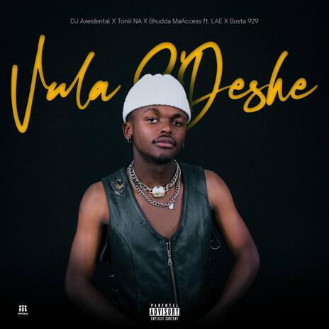 Vula S'Deshe ft. Toniii NA, Bhudda MaAccess, LAE & Busta 929 | Boomplay Music