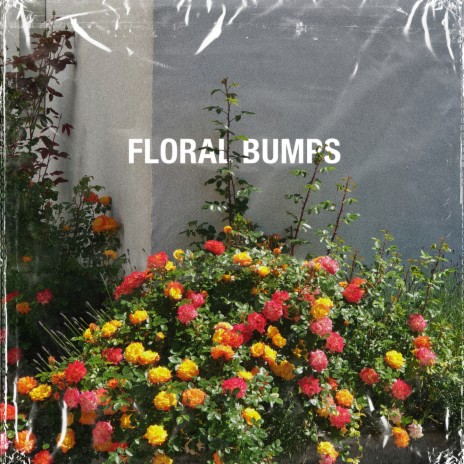 hibiscus ft. oofoe | Boomplay Music