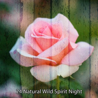 24 Nuit esprit sauvage naturel
