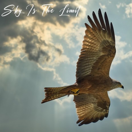 Sky Is the Limit | Boomplay Music