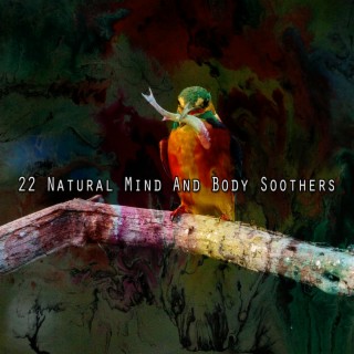 22 Sucettes naturelles pour l'esprit et le corps