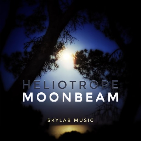 Moonbeam | Boomplay Music