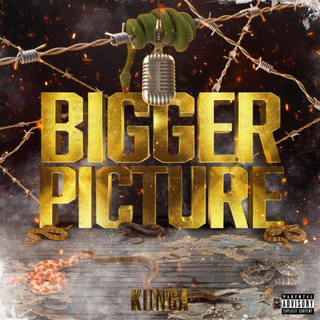 Bigger Picture | Boomplay Music
