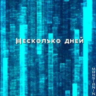 Несколько дней