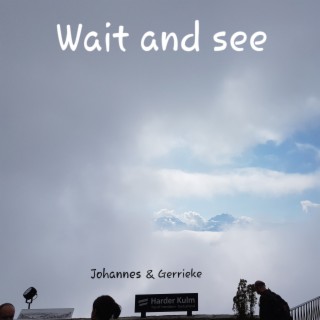 Wait and see