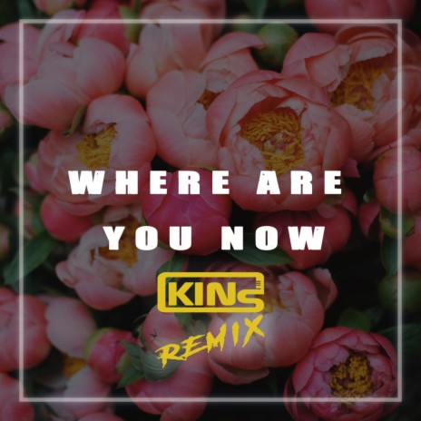 Where Are You Know (Remix)