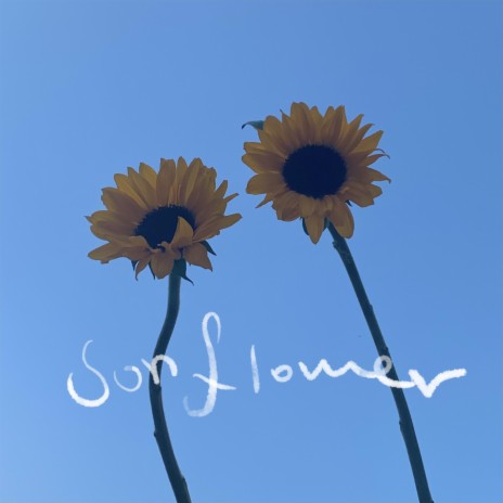 Sun Flower(2023) | Boomplay Music