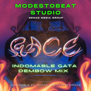 Indomable Gata (Dembow Mix)