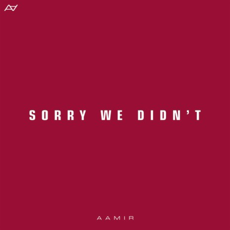 Sorry We Didn't | Boomplay Music