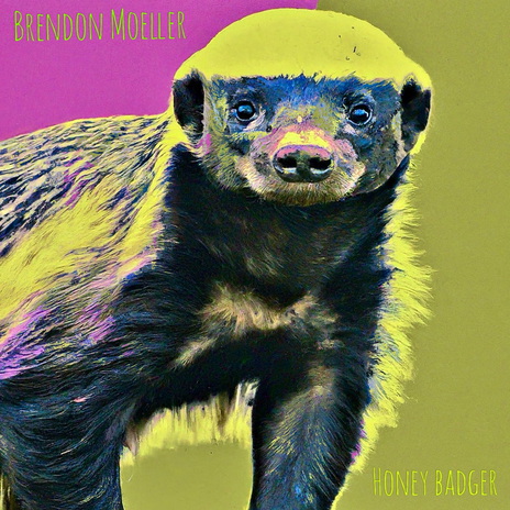 Honey Badger (Fearless Dub) | Boomplay Music