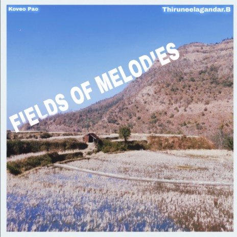 Fields of Melodies ft. Thiruneelagandar.B | Boomplay Music