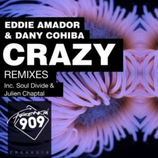 Crazy (Remixes)