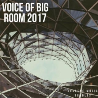 Voice Of Big Room 2017