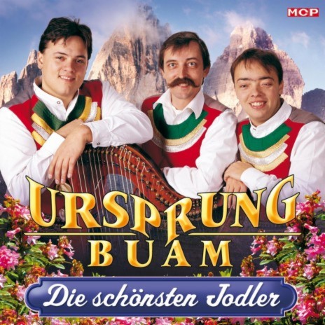 A bisserl Tirol | Boomplay Music