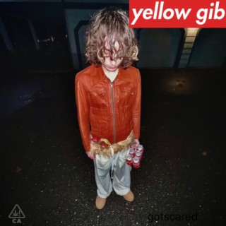 Yellow Gib