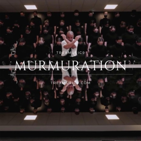 Murmuration | Boomplay Music