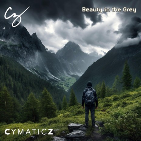 Beauty in the Grey | Boomplay Music