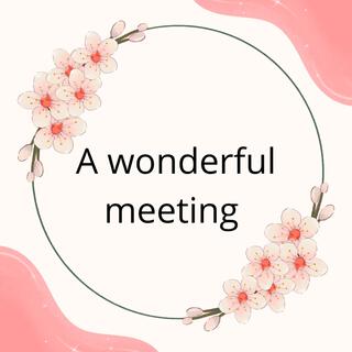 a wonderful meeting