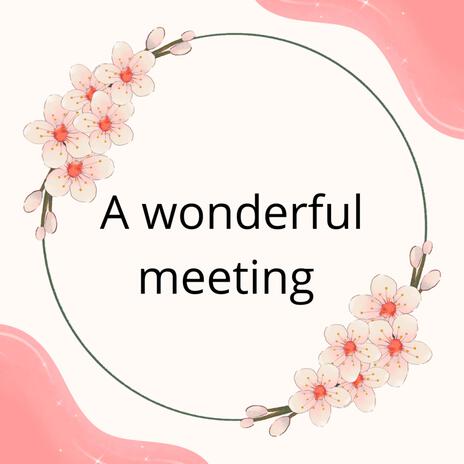 a wonderful meeting