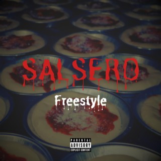 SALSERO FREESTYLE lyrics | Boomplay Music