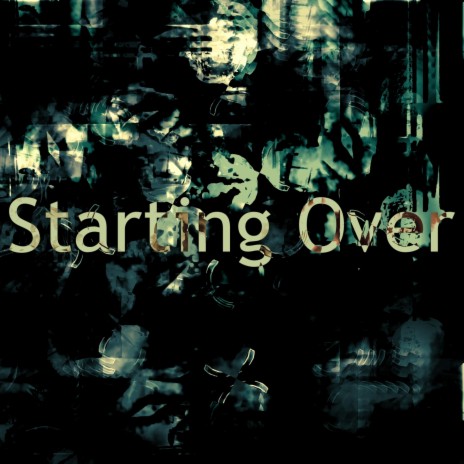 Starting Over | Boomplay Music