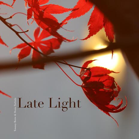 Late Light ft. Denis Turbide | Boomplay Music