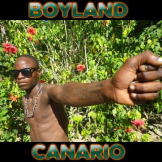 Boyland Canario