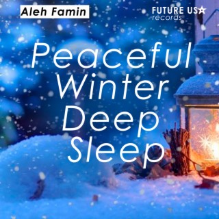 Peaceful Winter Deep Sleep