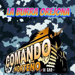 La burra orejona