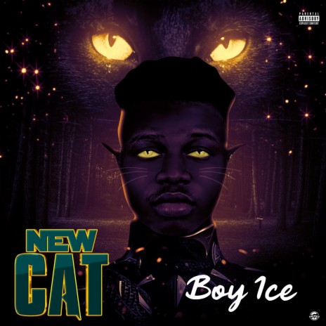 New cat | Boomplay Music