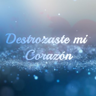 Destrozaste mi Corazon