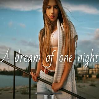 A dream for one night