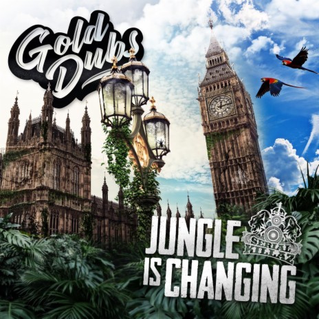 The Jungle is Changing | Boomplay Music