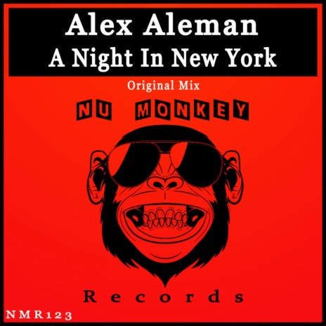 A Night In New York | Boomplay Music