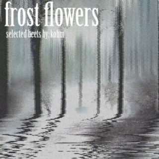 frost flowers