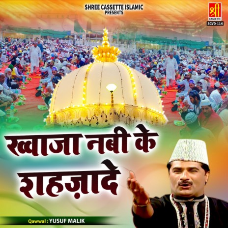 Ajmer Bulalo Khwaja | Boomplay Music