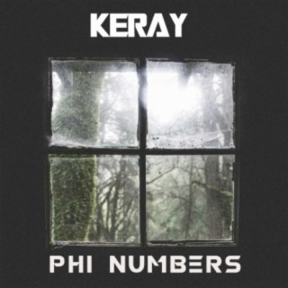 Phi Numbers