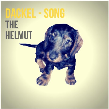Dackel Song | Boomplay Music