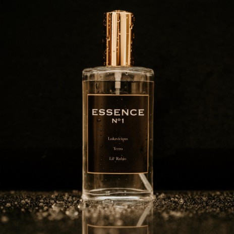 Essence ft. Terro & Lukavicious | Boomplay Music