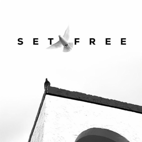 SET FREE ft. FREEE, HAYLO & eesaa | Boomplay Music