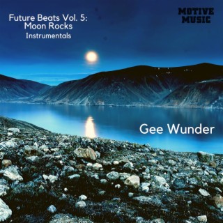 Future Beats, Vol. 5: Moon Rocks